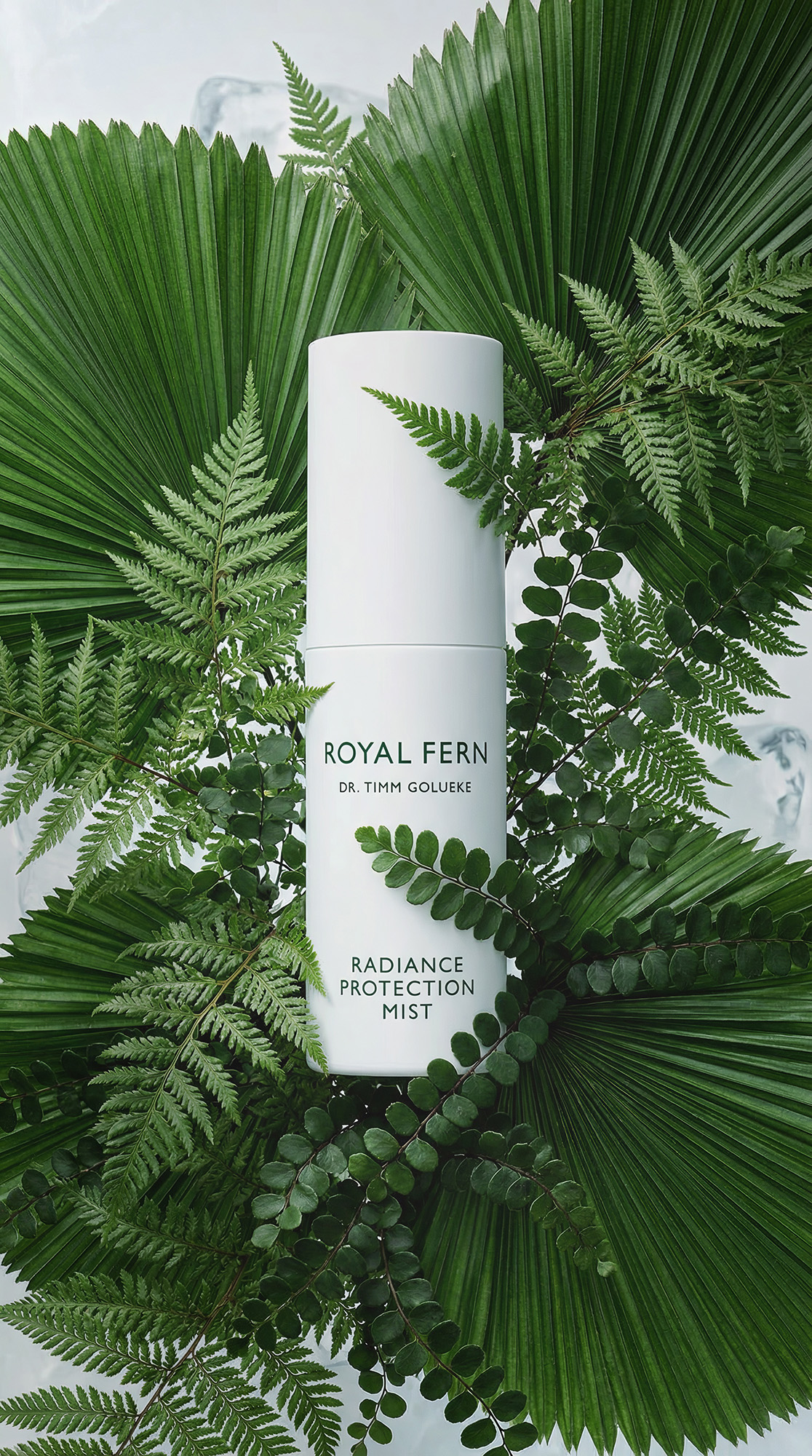 royal-fern-compo